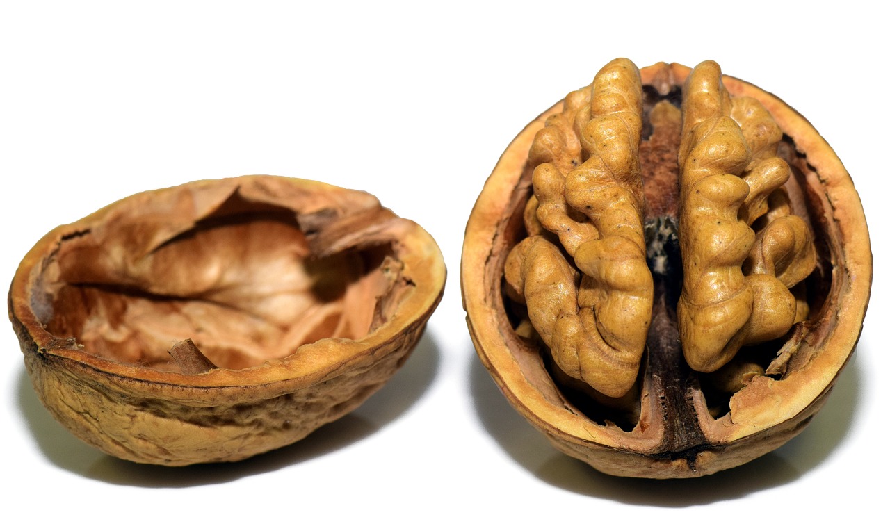 Could Mind Uploading Become a Reality?